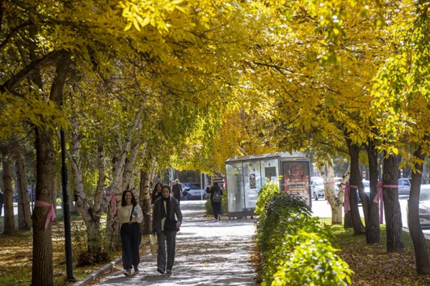 Atatürk Üniversitesi yerleşkesi ve Ata Botanik Bahçe'de sonbahar renkleri hakim oldu
