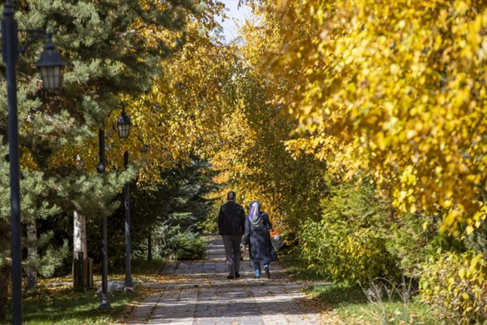 Atatürk Üniversitesi yerleşkesi ve Ata Botanik Bahçe'de sonbahar renkleri hakim oldu
