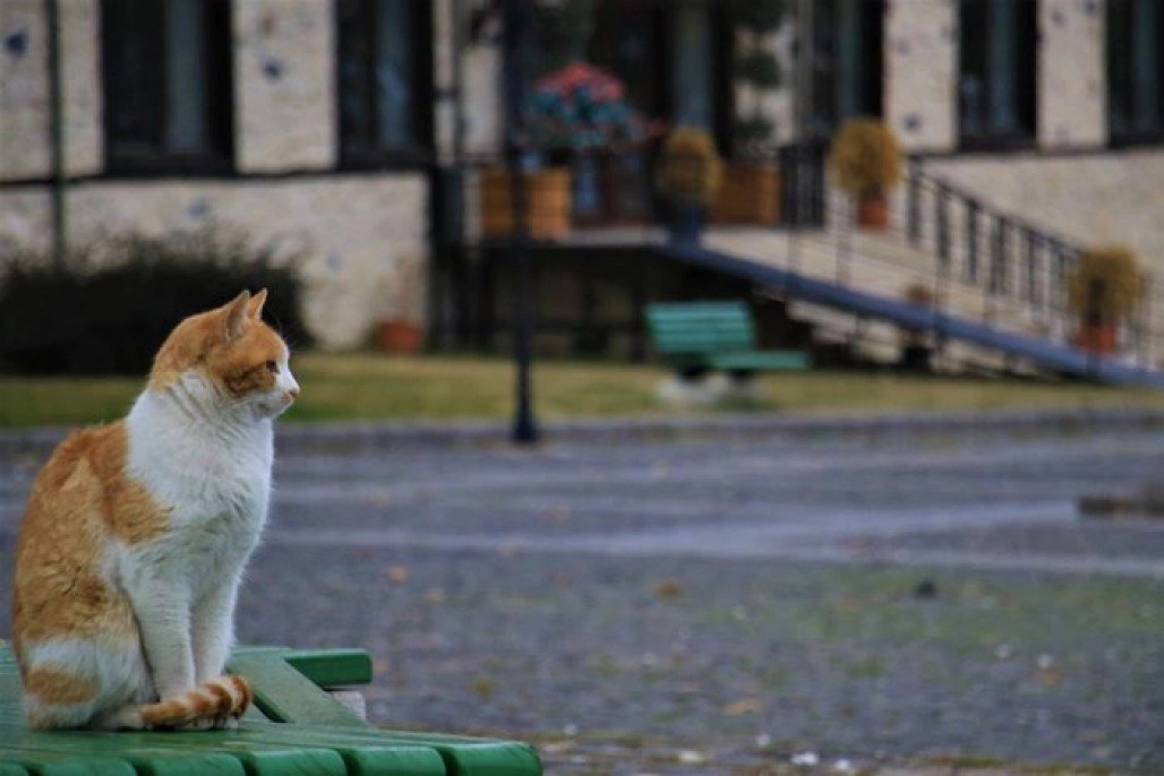 Harput'ta sonbahar güzelliği