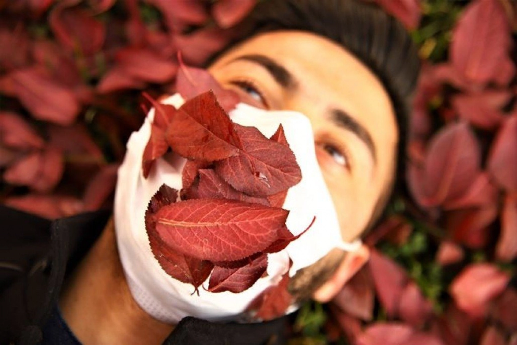 Elazığ'da sonbaharın son demleri görsel şölen oluşturuyor