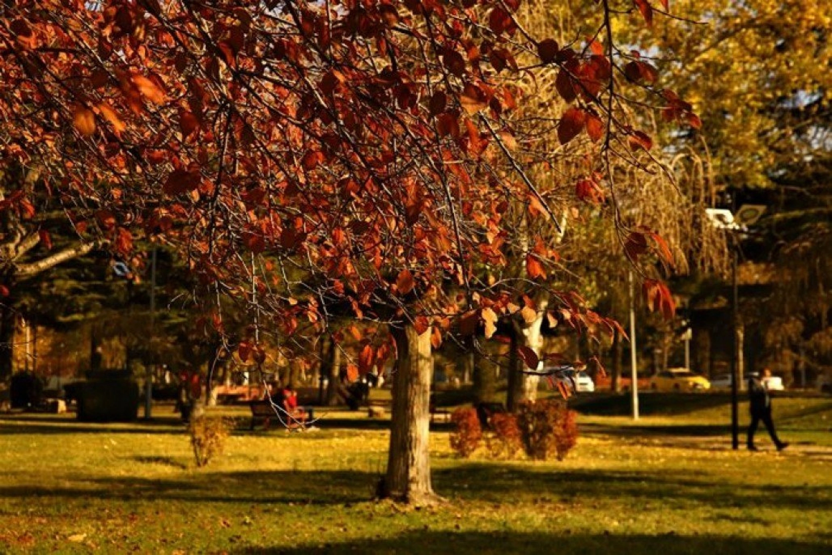 Elazığ'da sonbaharın son demleri görsel şölen oluşturuyor