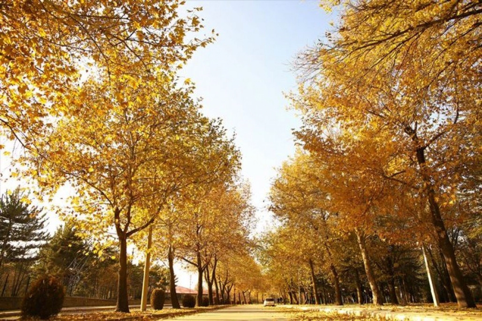 Elazığ'da sonbaharın son demleri görsel şölen oluşturuyor