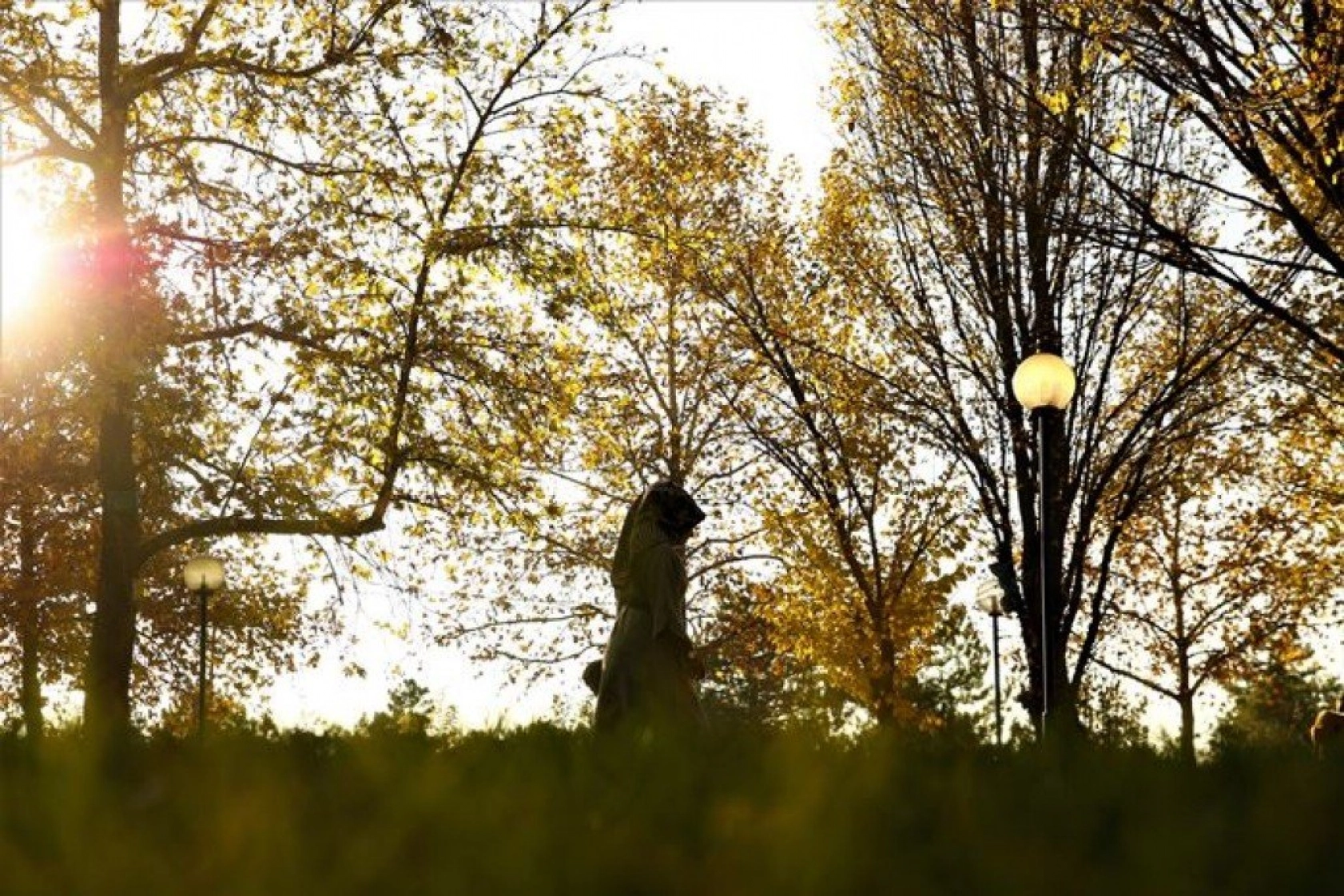 Elazığ'da sonbaharın son demleri görsel şölen oluşturuyor