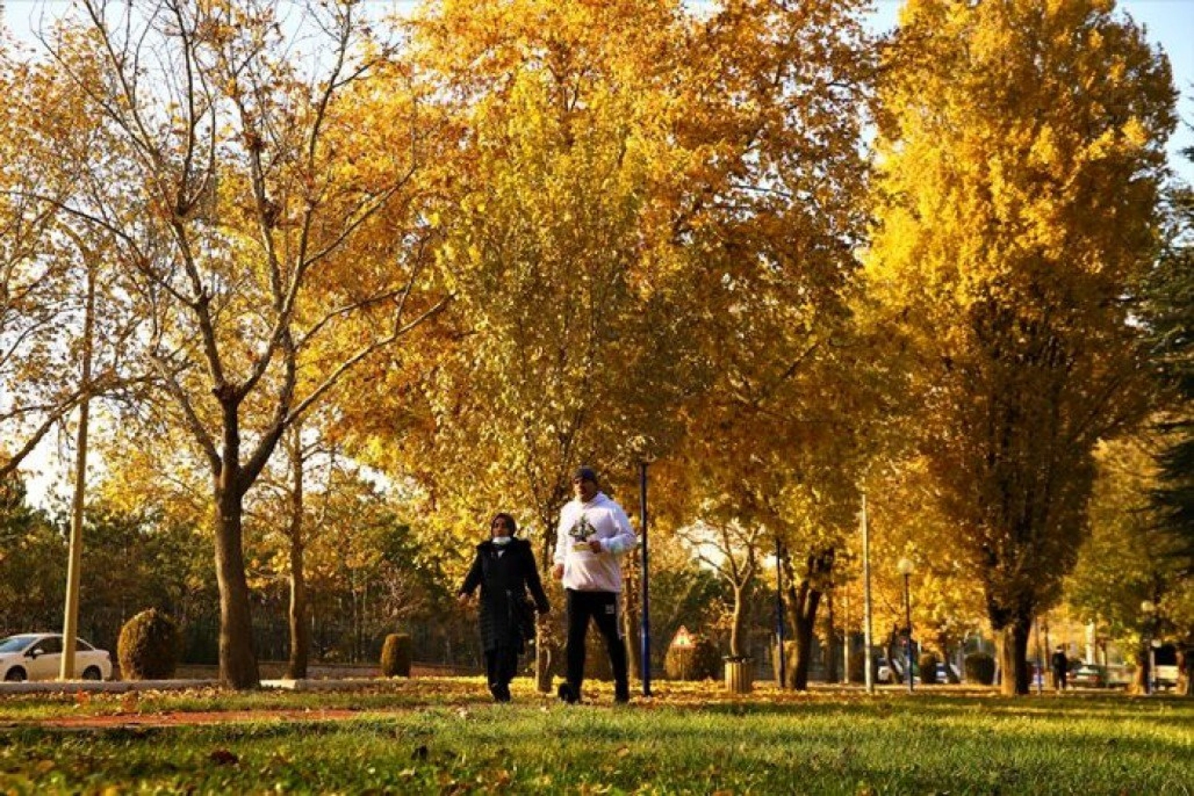 Elazığ'da sonbaharın son demleri görsel şölen oluşturuyor