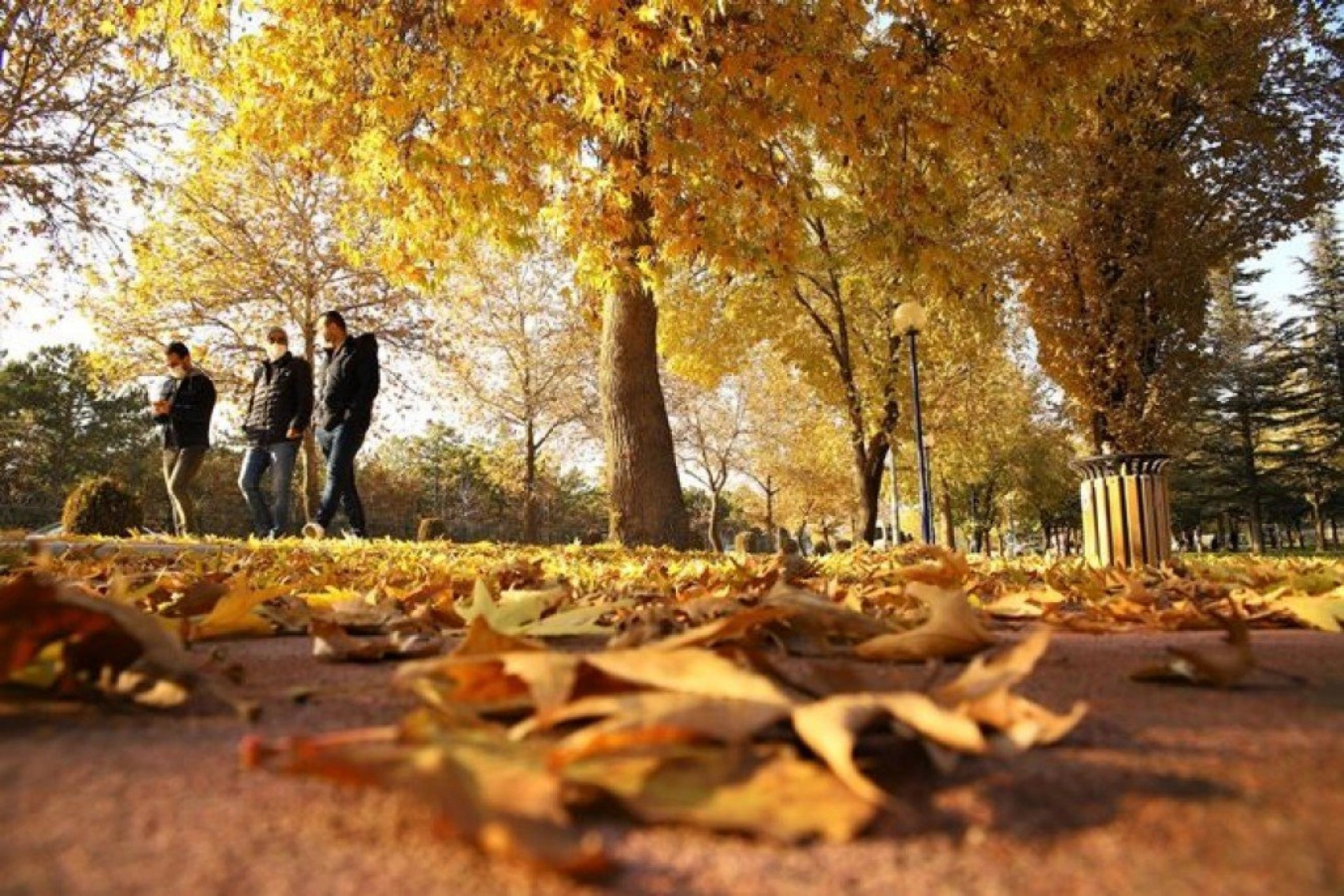 Elazığ'da sonbaharın son demleri görsel şölen oluşturuyor