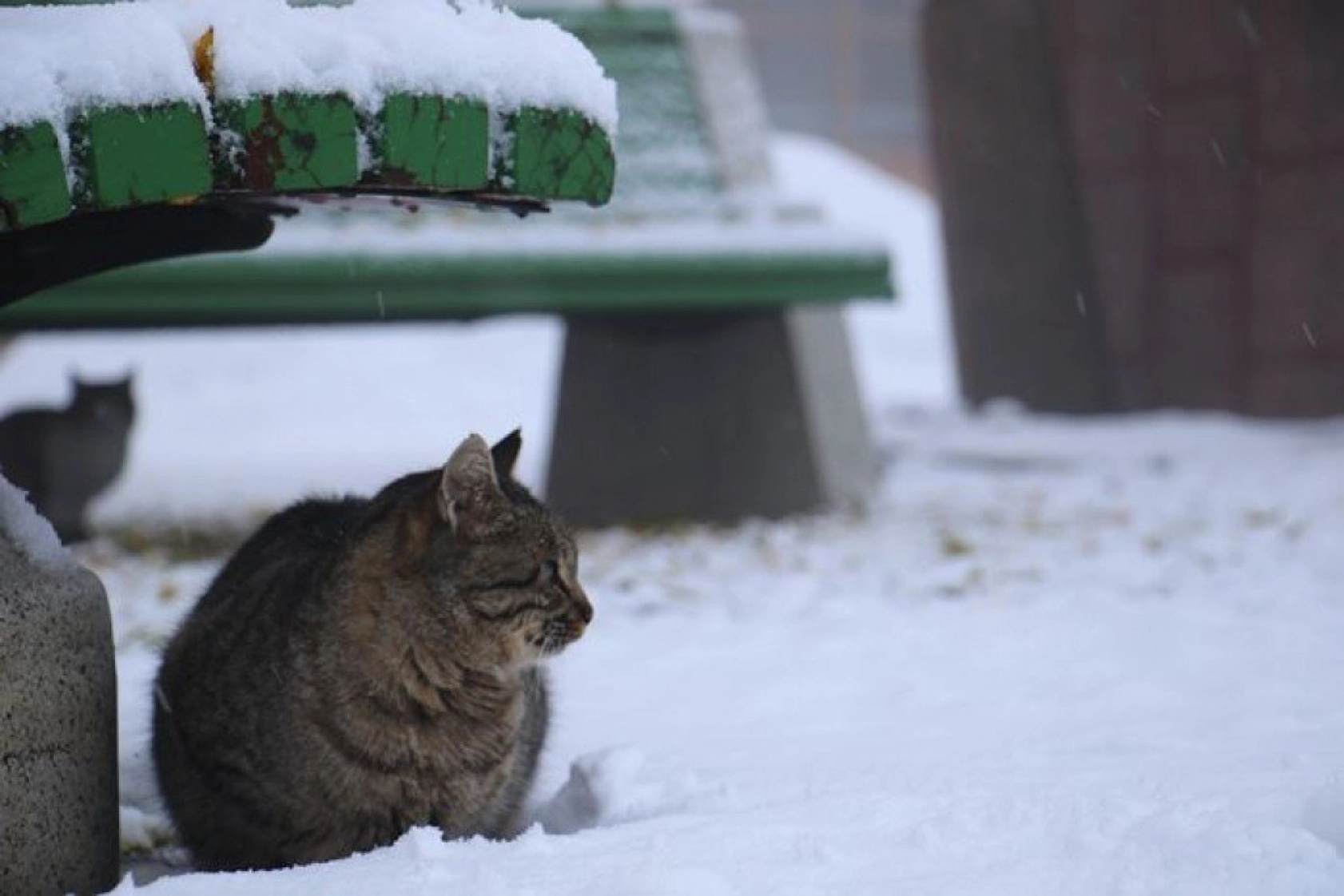 Harput'ta kartpostallık görüntüler oluştu