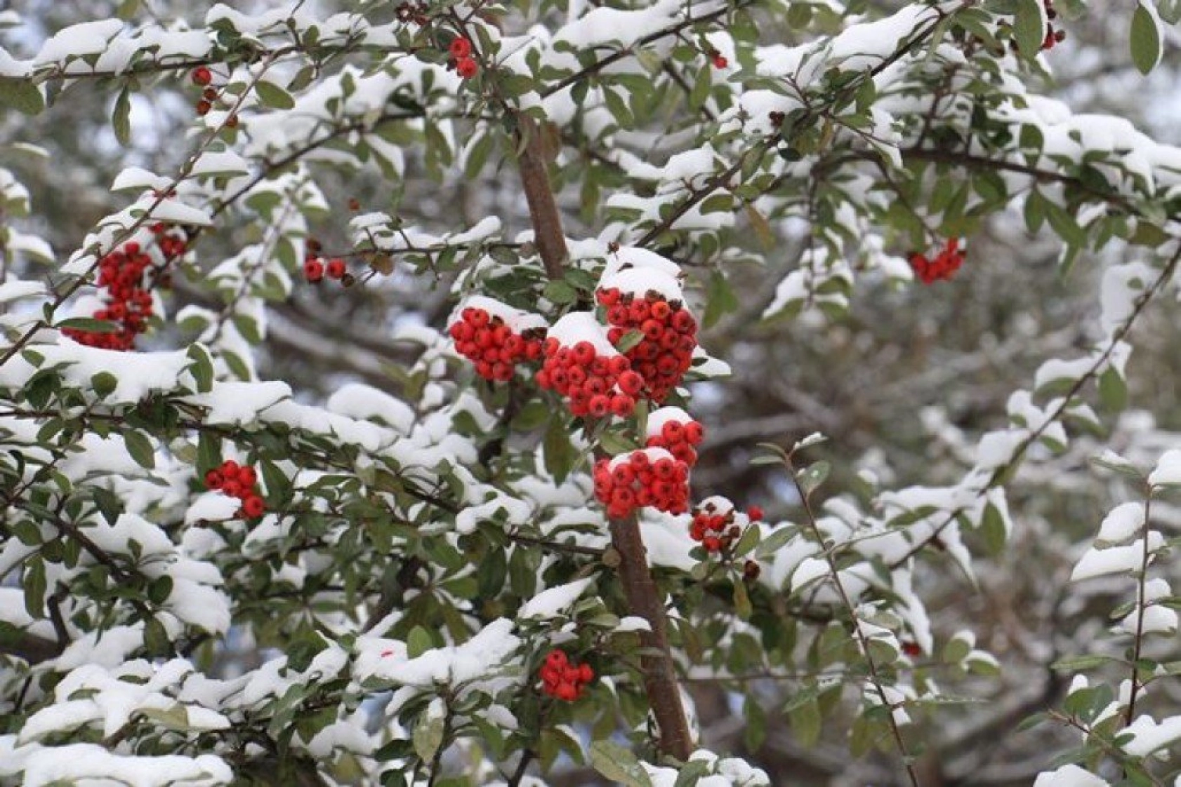 Elazığ'da çocukların kar sevinci