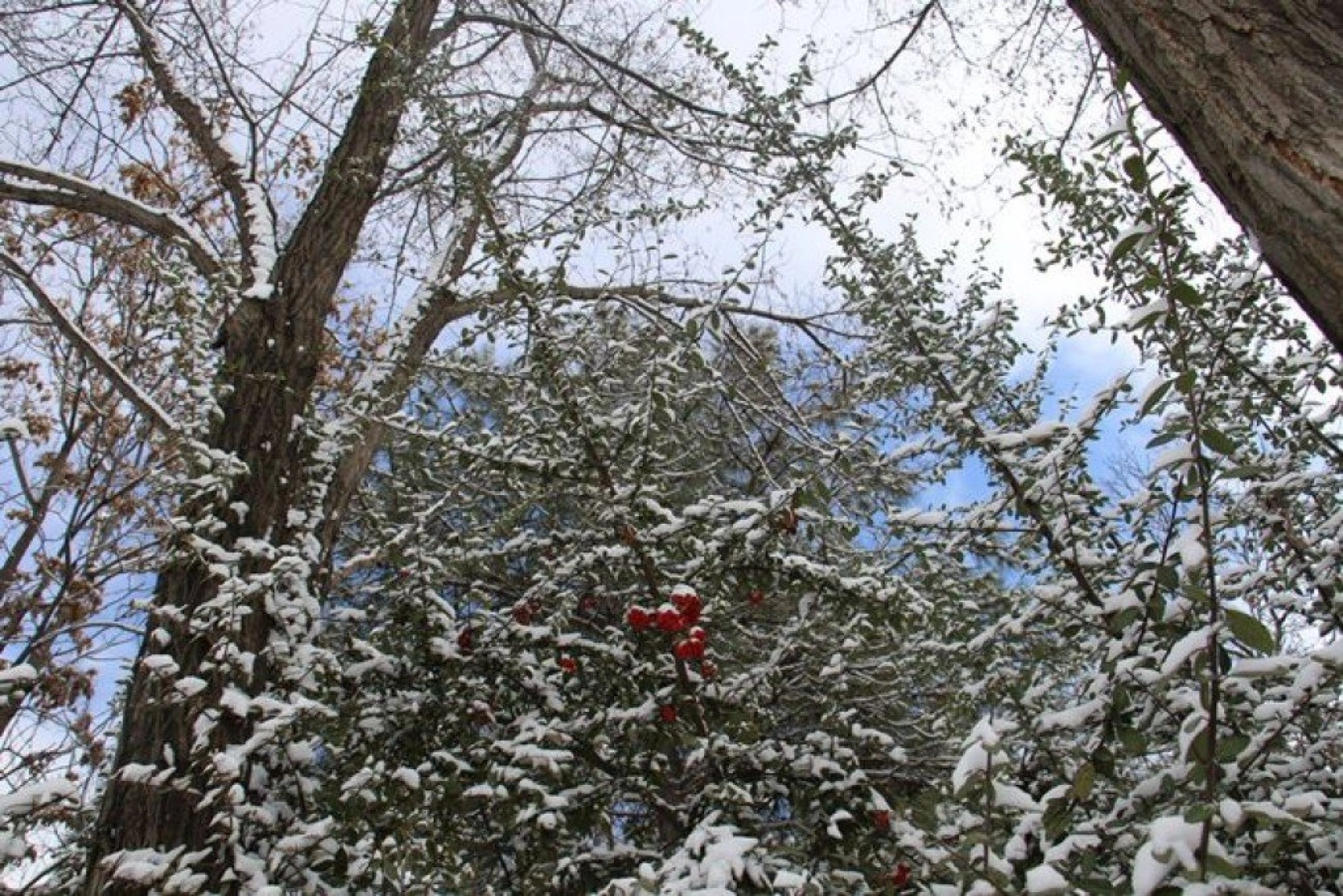 Elazığ'da çocukların kar sevinci