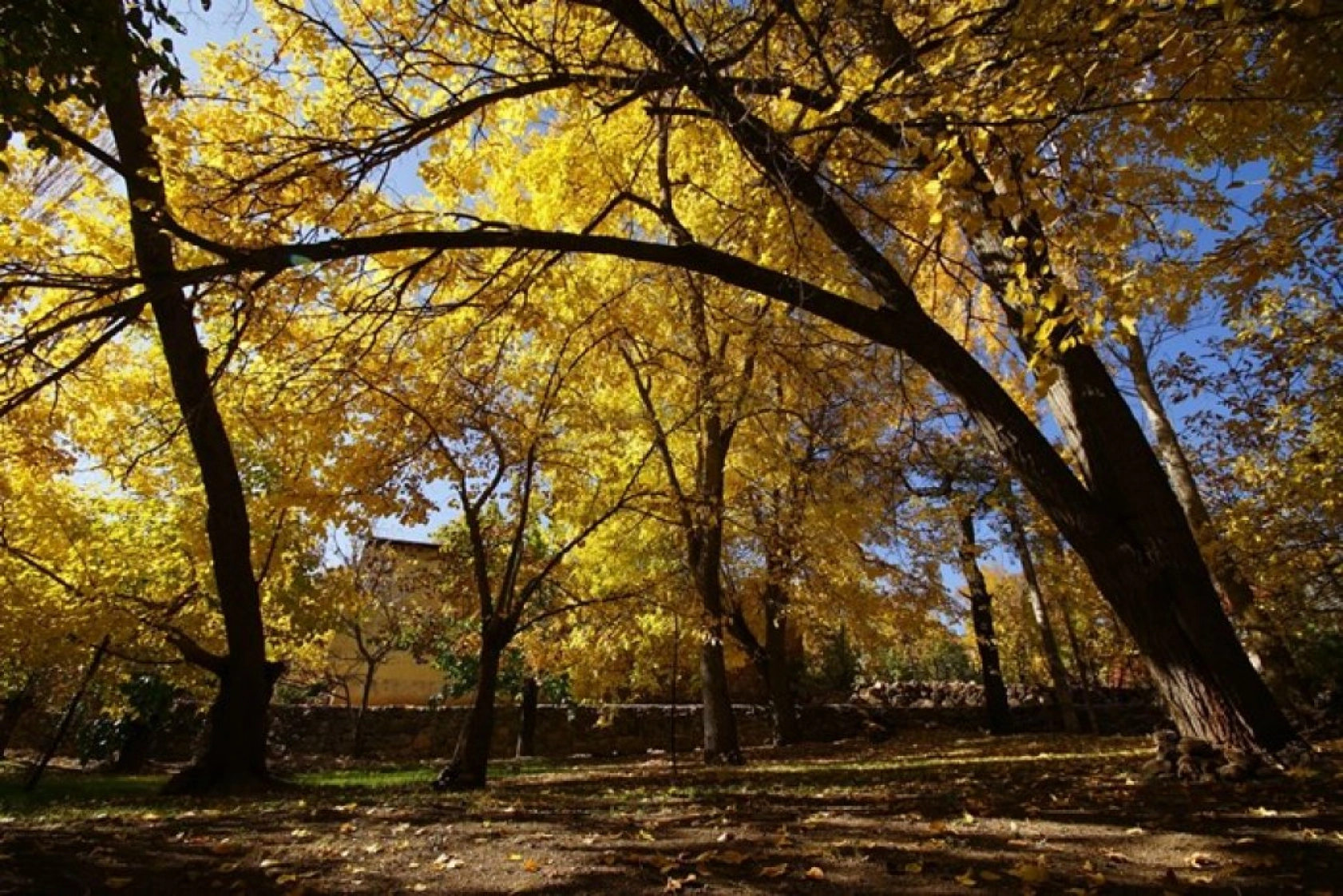 Arapgir'de Sonbahar Doğal Güzelliğiyle Görenleri Hayran Bıraktırıyor