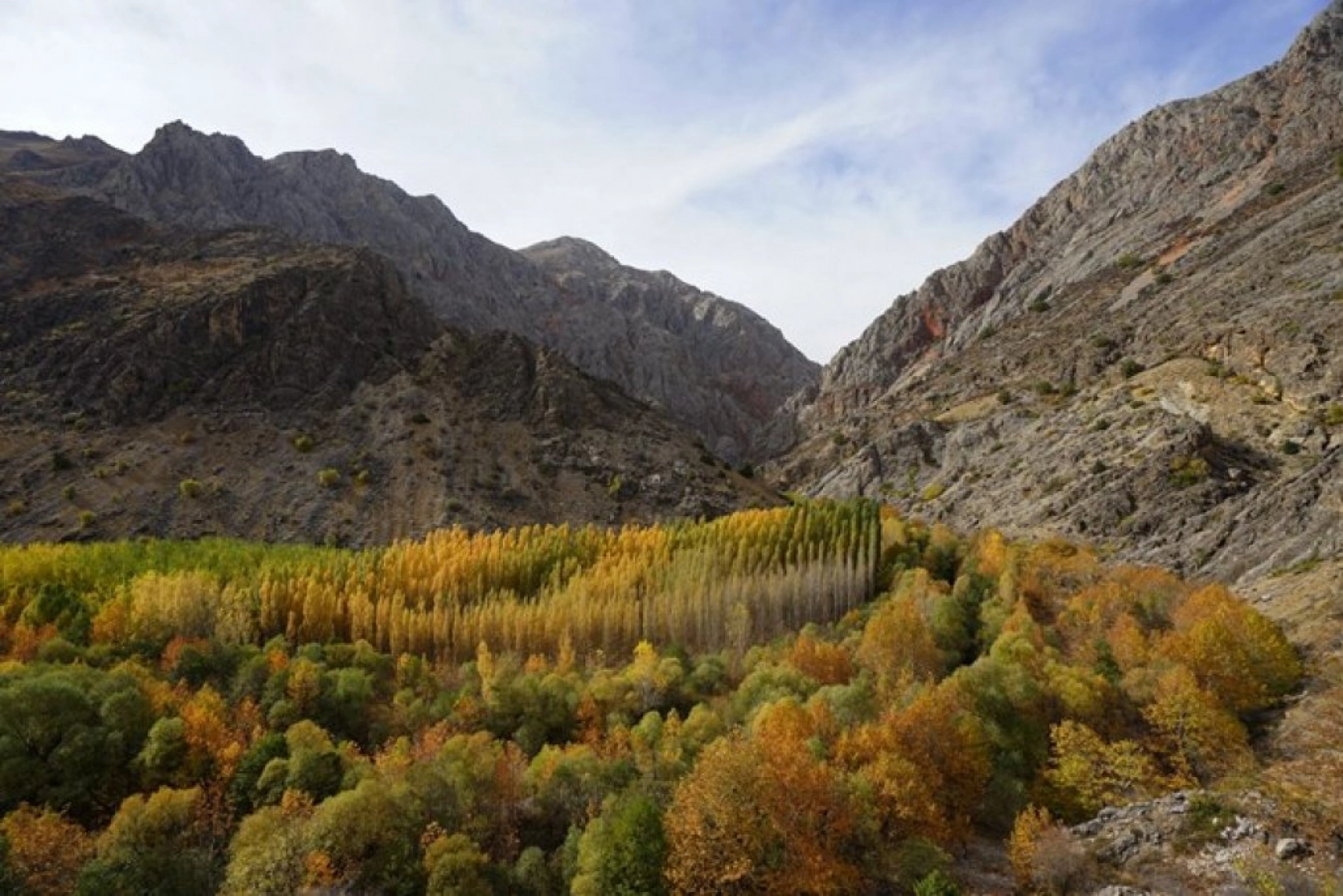 Arapgir'de Sonbahar Doğal Güzelliğiyle Görenleri Hayran Bıraktırıyor