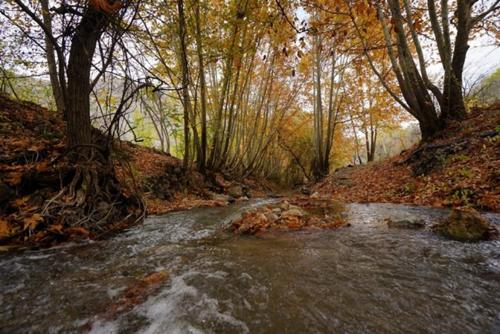 Arapgir'de Sonbahar Doğal Güzelliğiyle Görenleri Hayran Bıraktırıyor