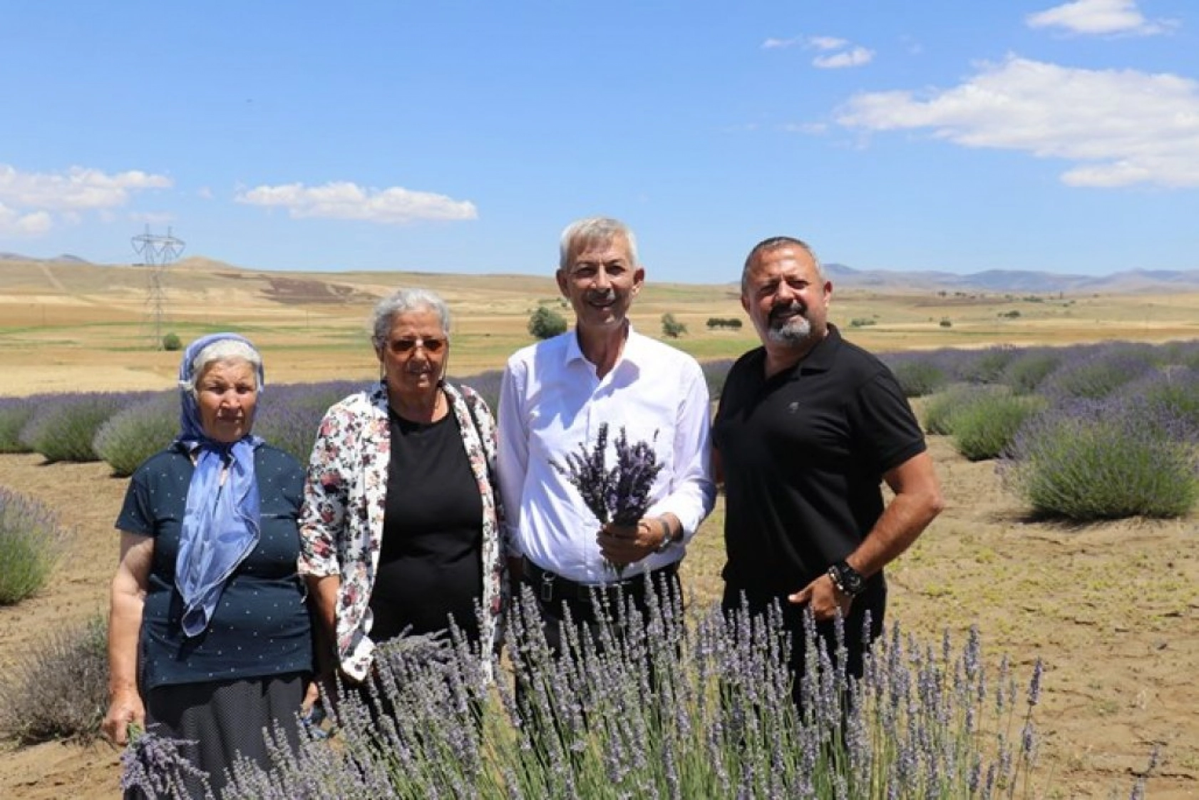 Lavanta tarlalarında görsel şölen