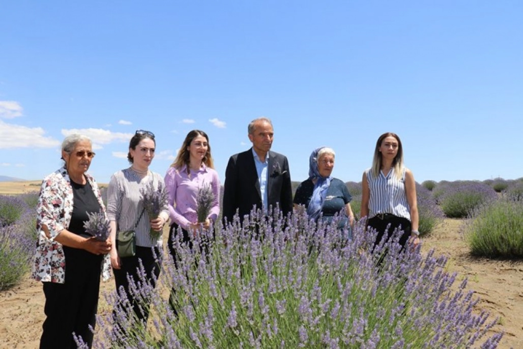 Lavanta tarlalarında görsel şölen