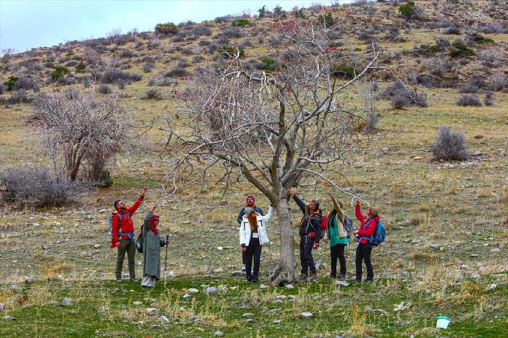 Doğaseverler Van Gölü koylarında yürüyüş yaptı