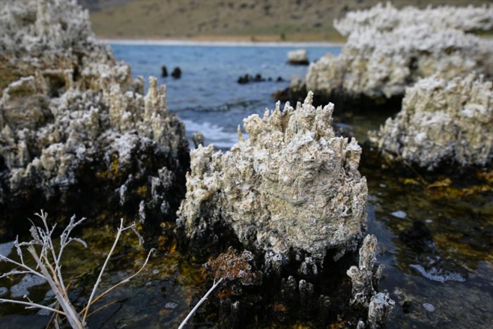Doğaseverler Van Gölü koylarında yürüyüş yaptı