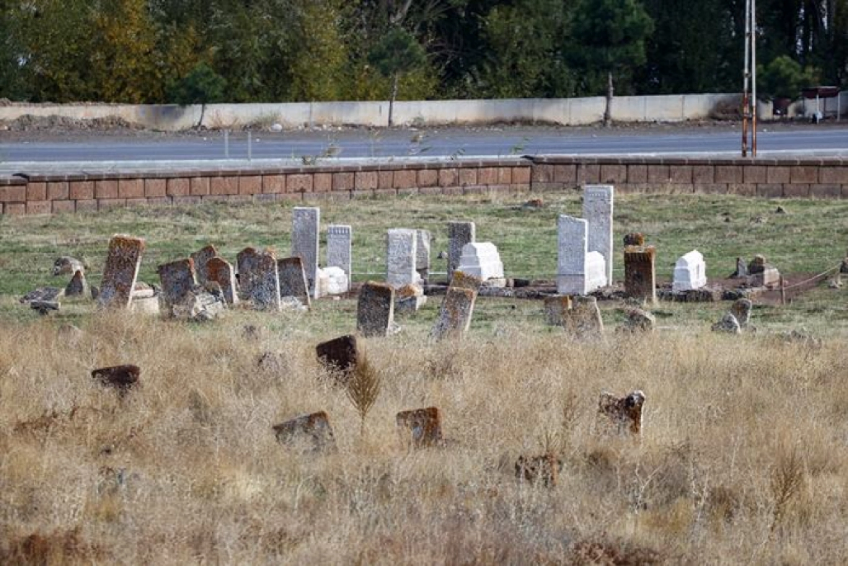 Van'daki Selçuklu Mezarlığı'nda en erken tarihli sandukalı mezar ortaya çıkarıldı