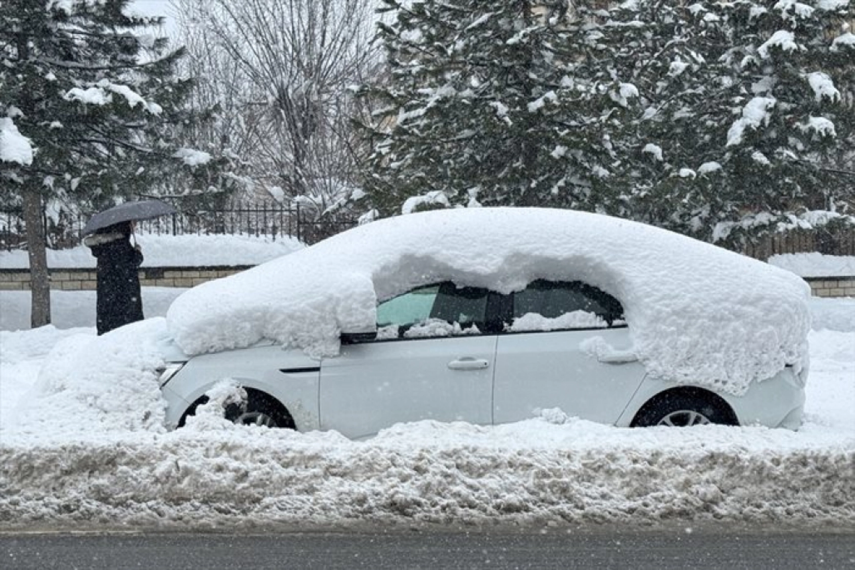 Muş'ta kar yağışı etkili oldu