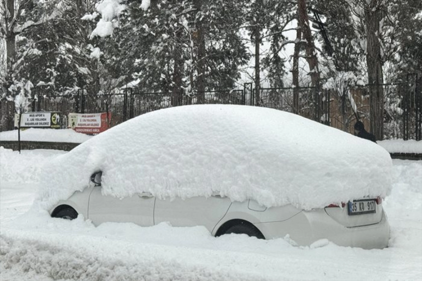 Muş'ta kar yağışı etkili oldu
