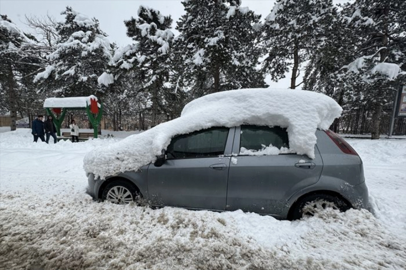 Muş'ta kar yağışı etkili oldu