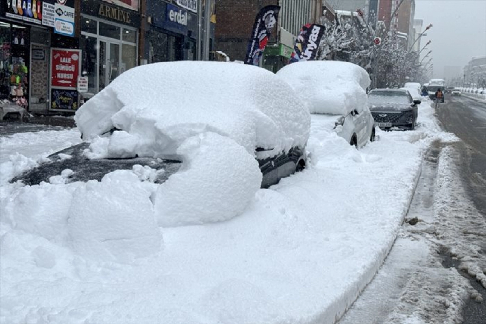 Muş'ta kar yağışı etkili oldu