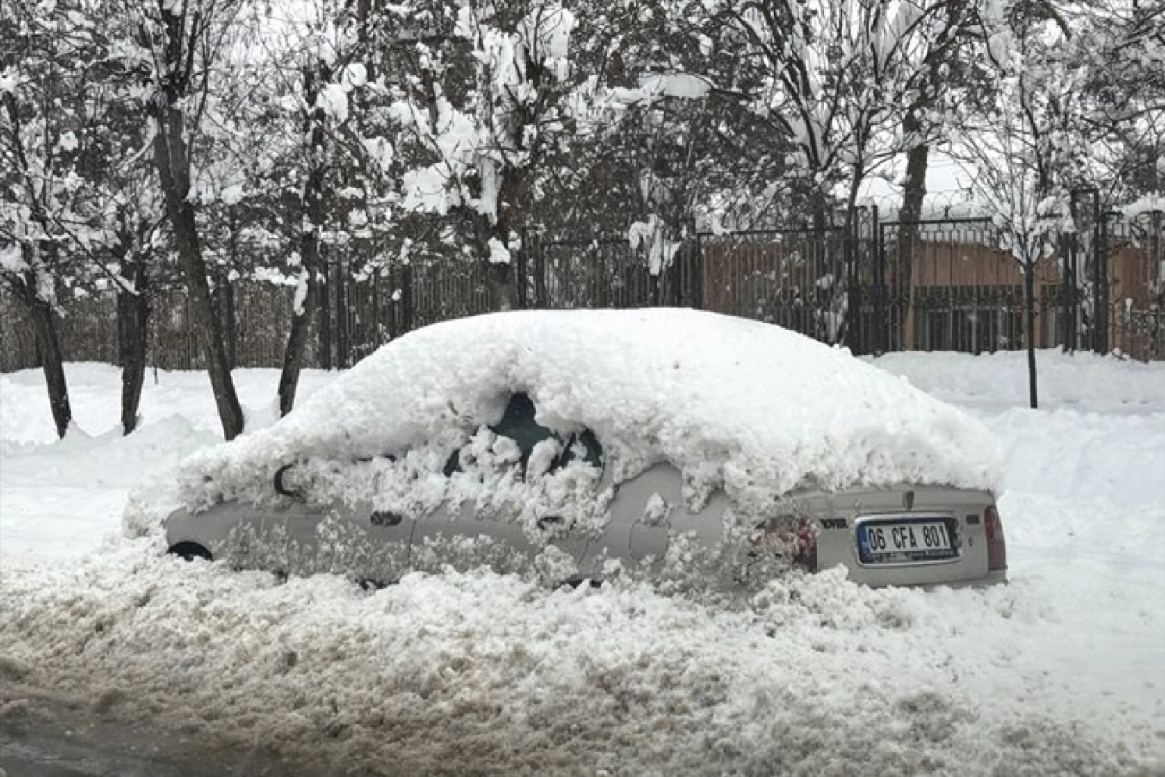 Muş'ta kar yağışı etkili oldu