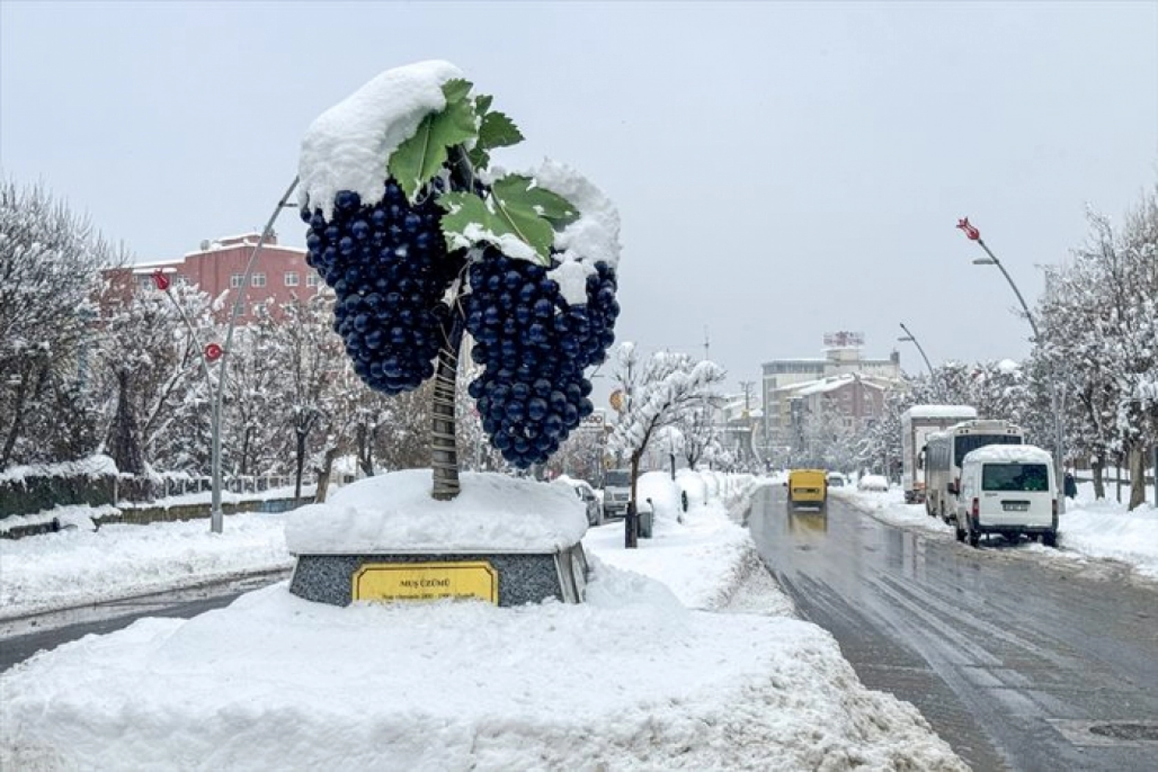 Muş'ta kar yağışı etkili oldu