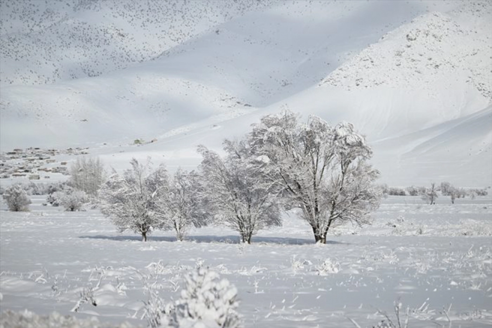 Van'da kar yağışı sonrası güzel görüntü oluştu