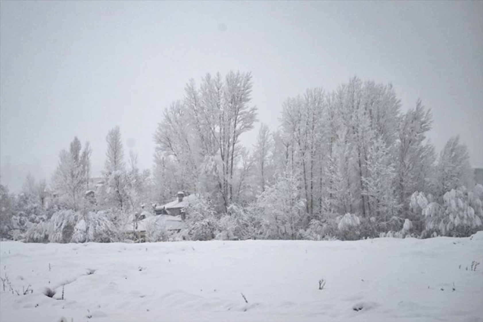 Van'da kar yağışı sonrası güzel görüntü oluştu