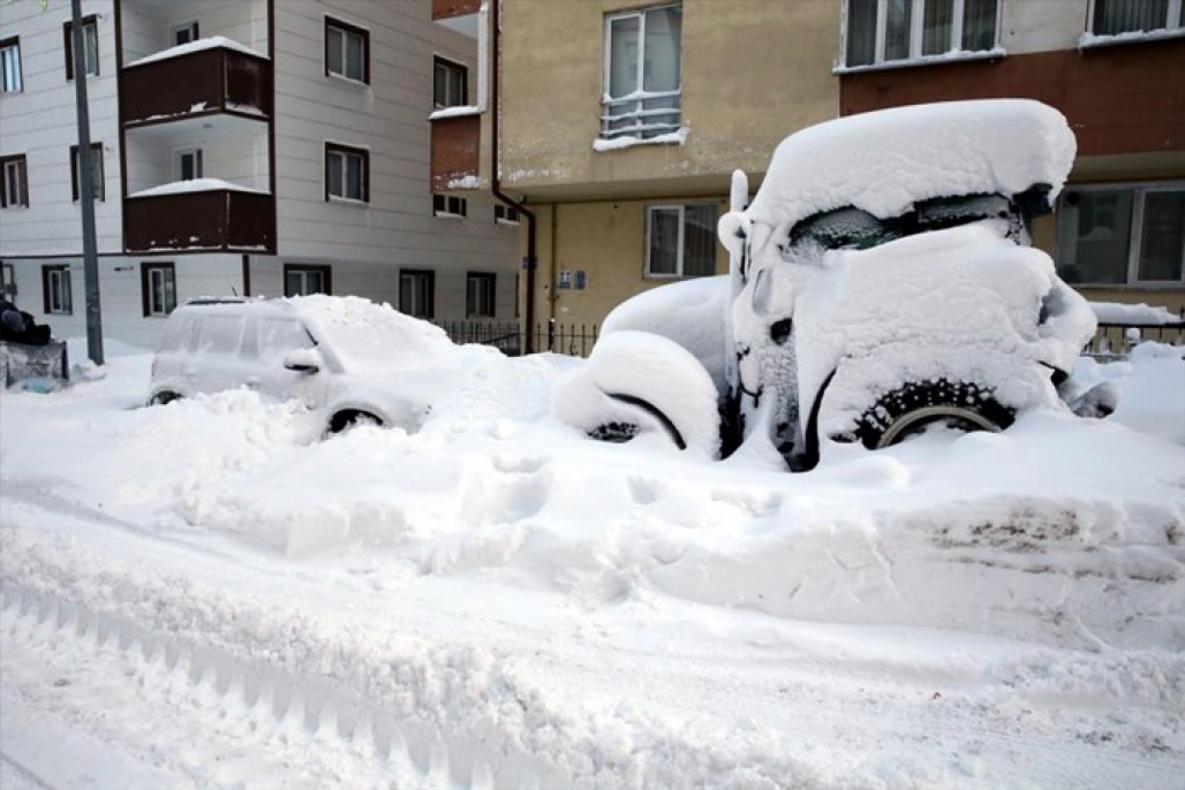 Ardahan'da yoğun kar yağışı etkili oldu