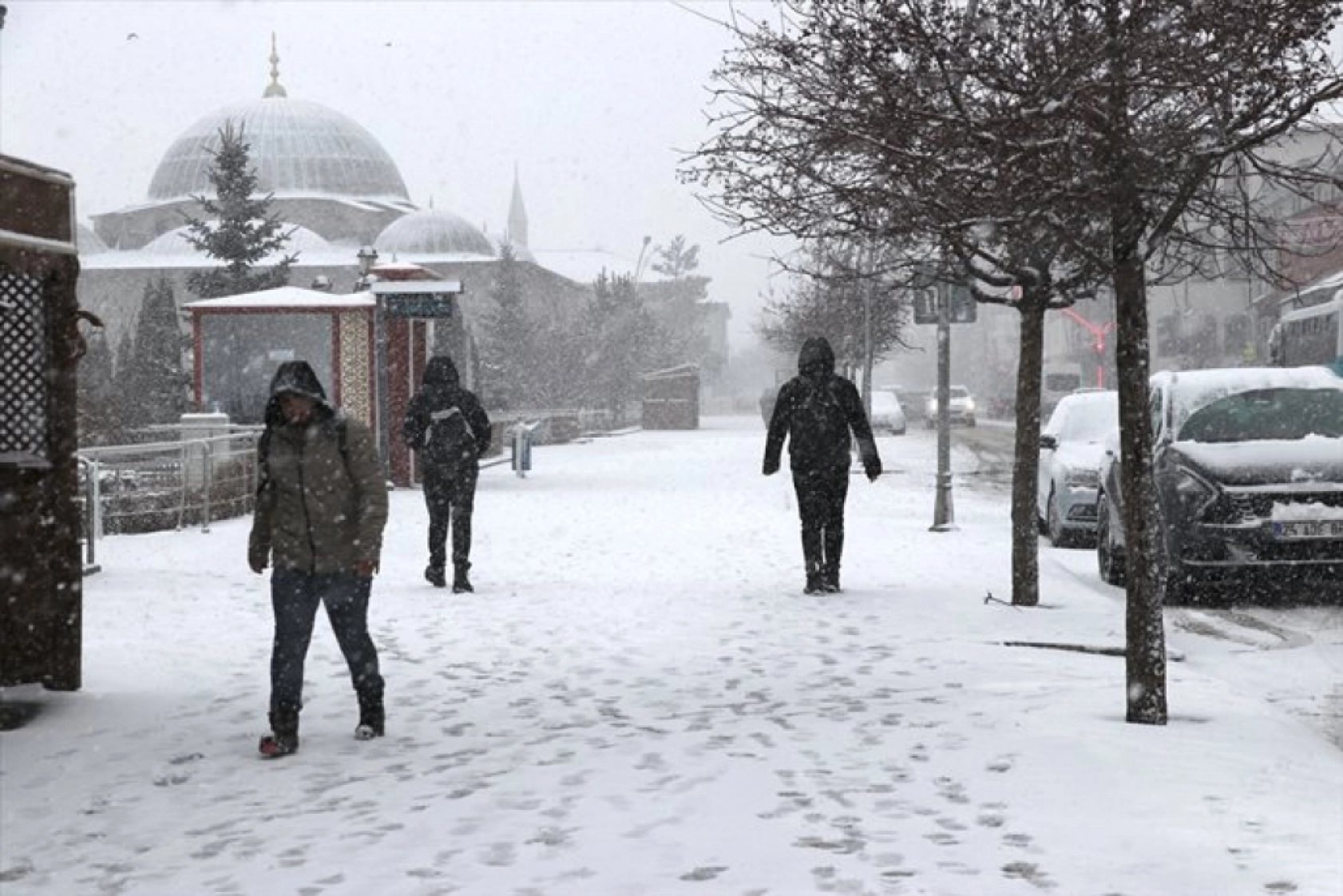 Erzurum, Ağrı, Kars ve Ardahan martta yeniden karla kaplandı