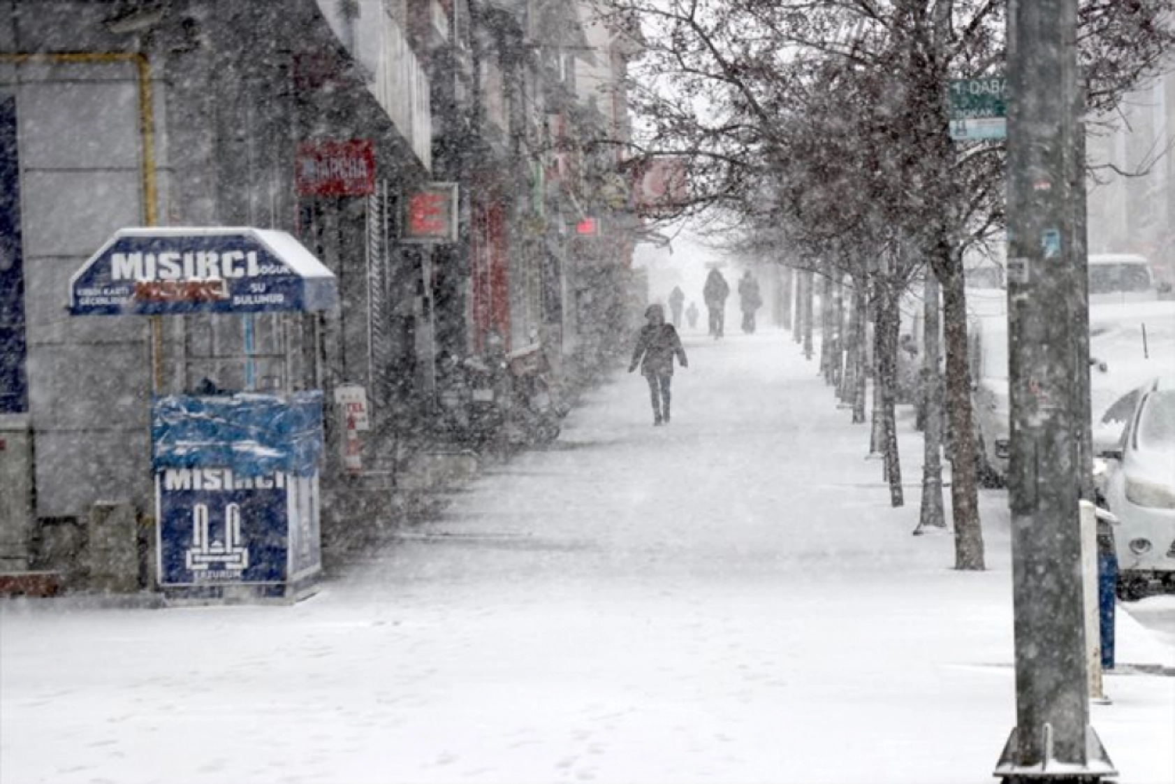 Erzurum, Ağrı, Kars ve Ardahan martta yeniden karla kaplandı