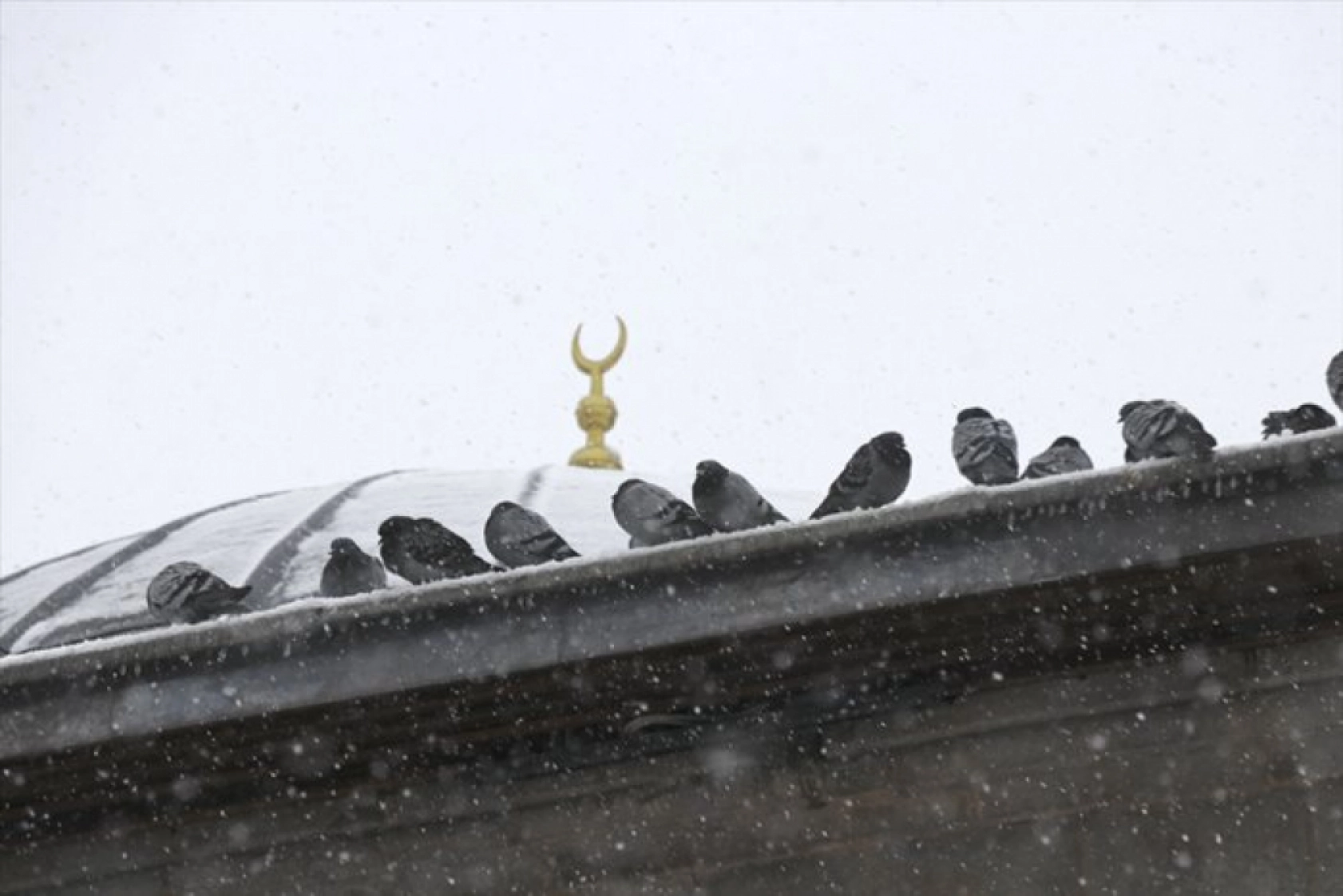 Erzurum, Ağrı, Kars ve Ardahan martta yeniden karla kaplandı