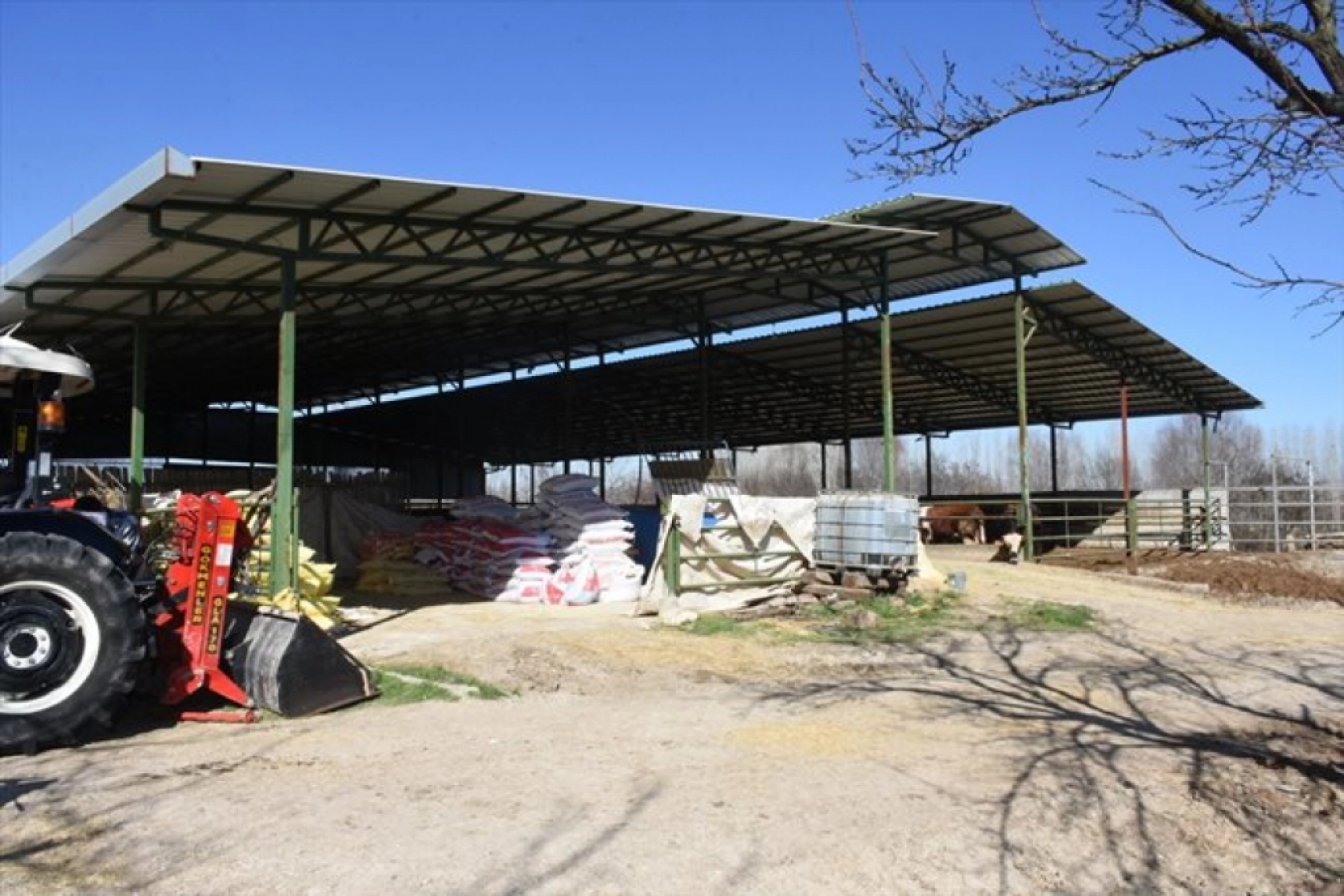 Devlet desteklerinden yararlanan besici, hayvan sayısını 12'ye katladı