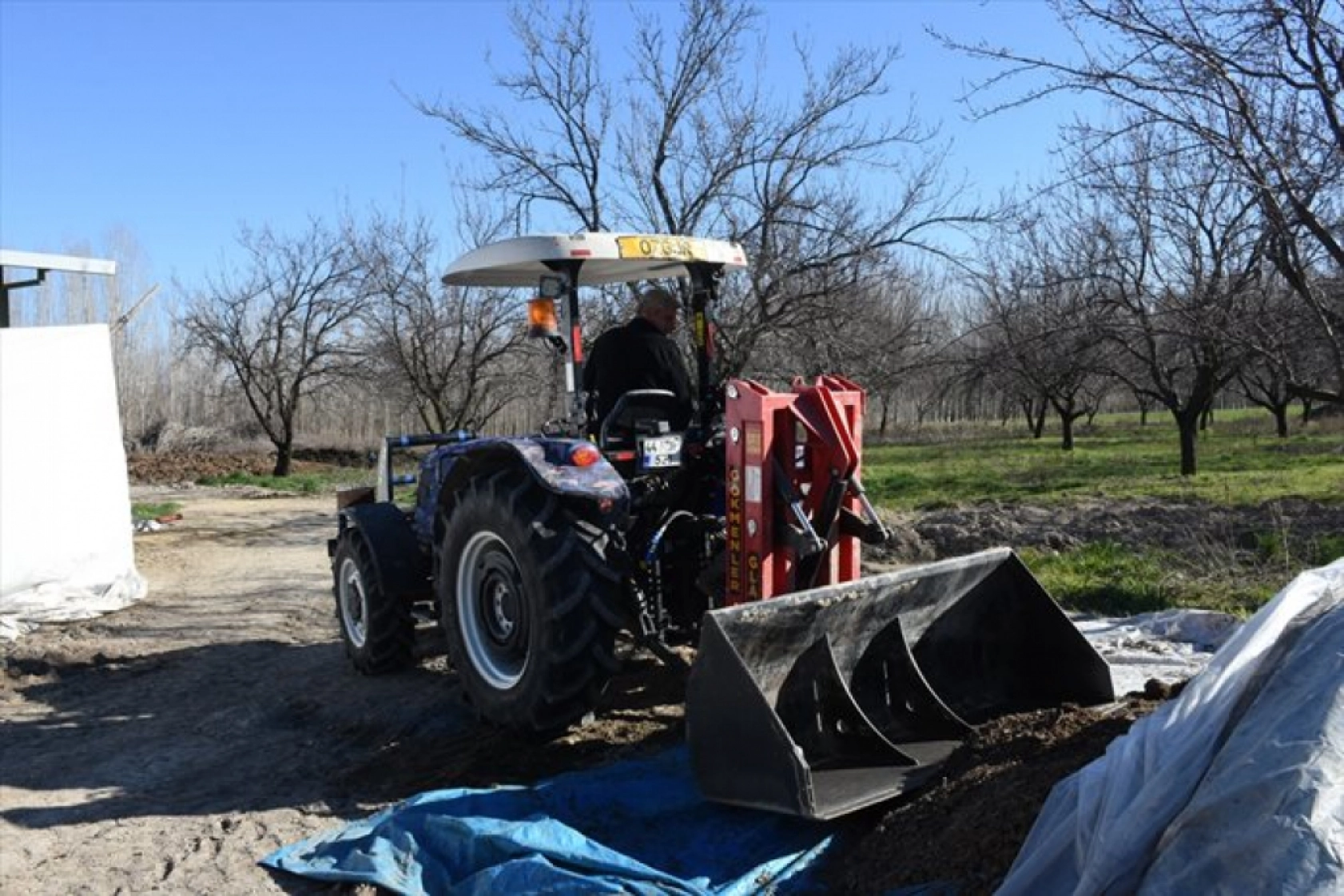 Devlet desteklerinden yararlanan besici, hayvan sayısını 12'ye katladı