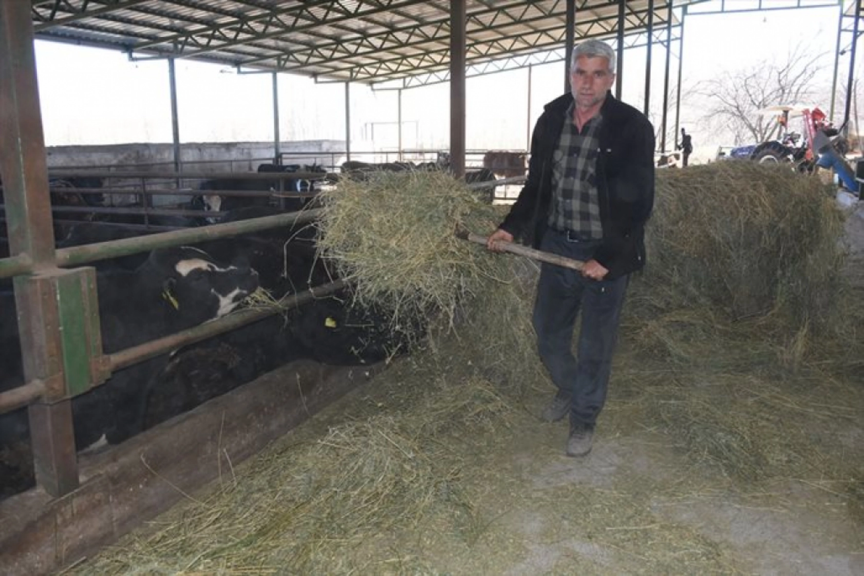Devlet desteklerinden yararlanan besici, hayvan sayısını 12'ye katladı