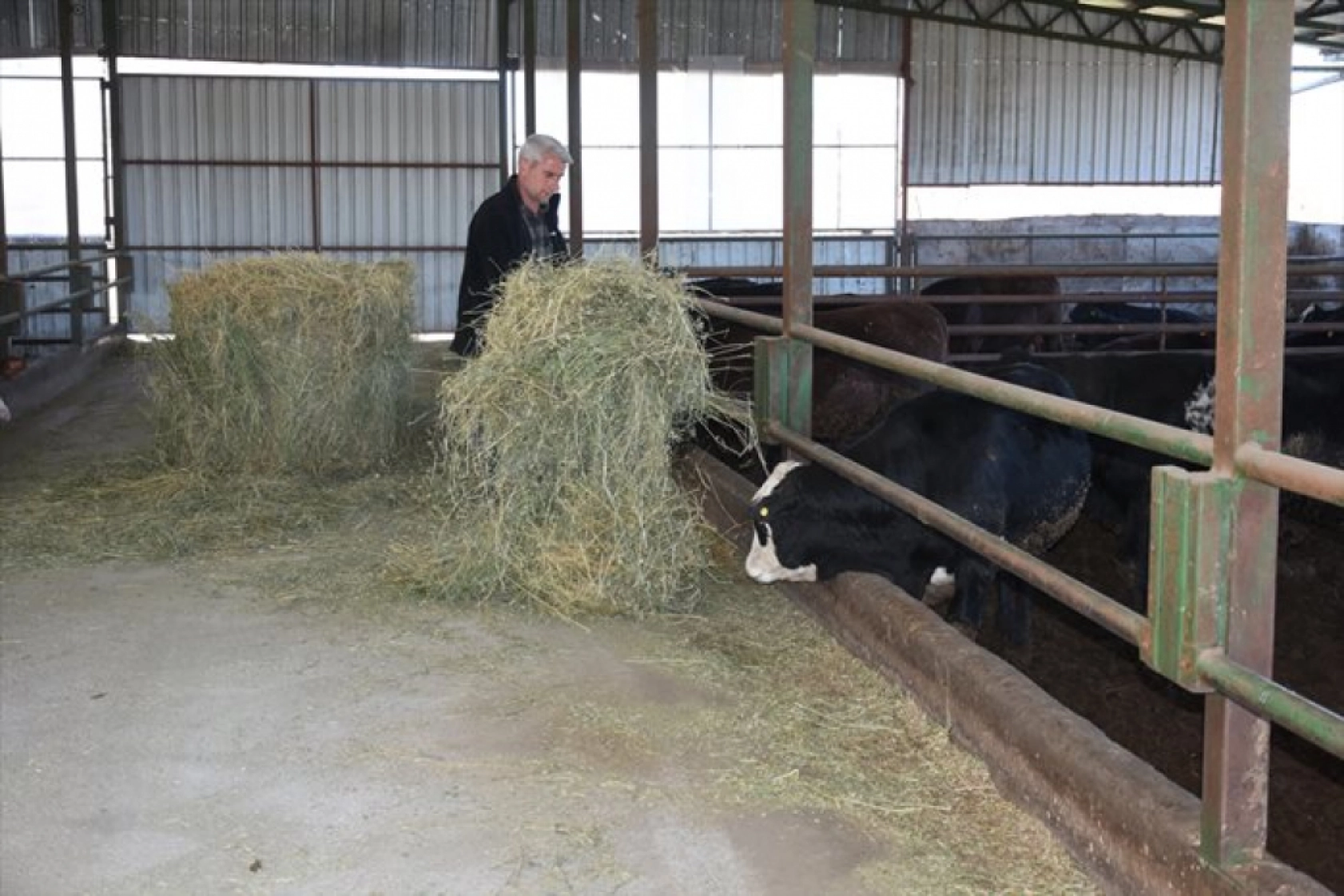 Devlet desteklerinden yararlanan besici, hayvan sayısını 12'ye katladı