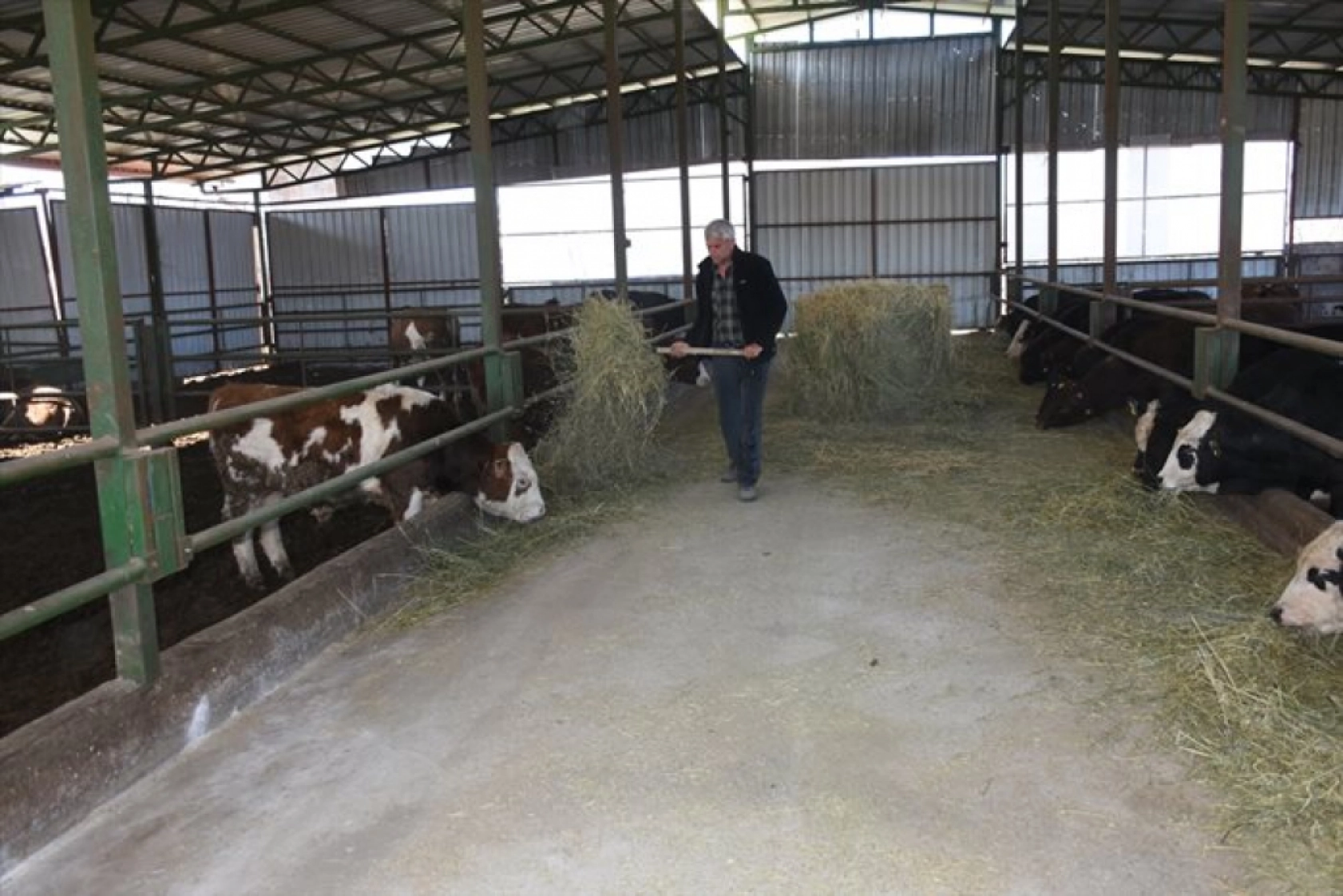 Devlet desteklerinden yararlanan besici, hayvan sayısını 12'ye katladı