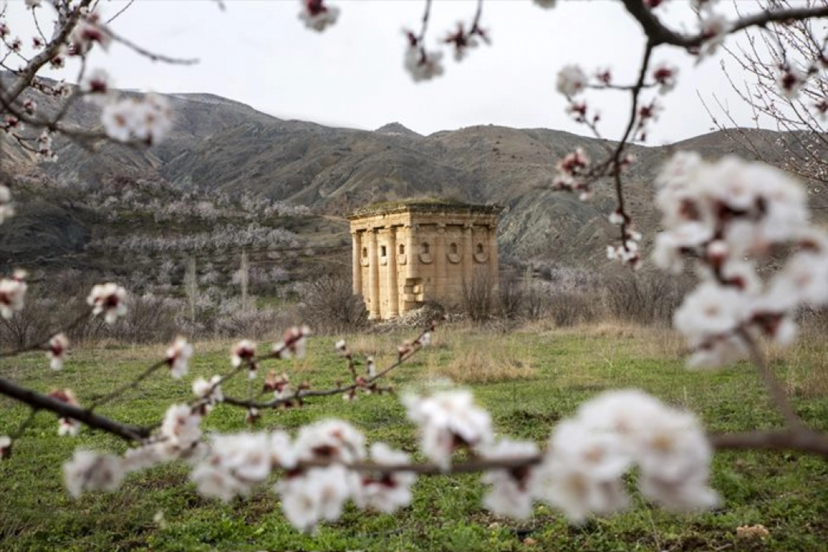 Malatya çiçek açtı