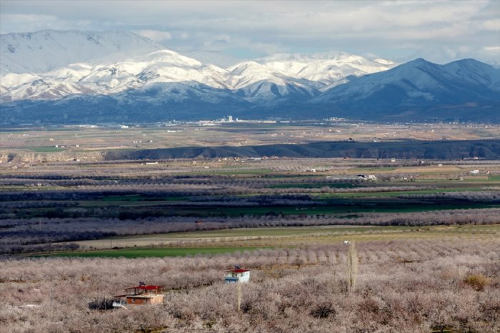 Malatya çiçek açtı