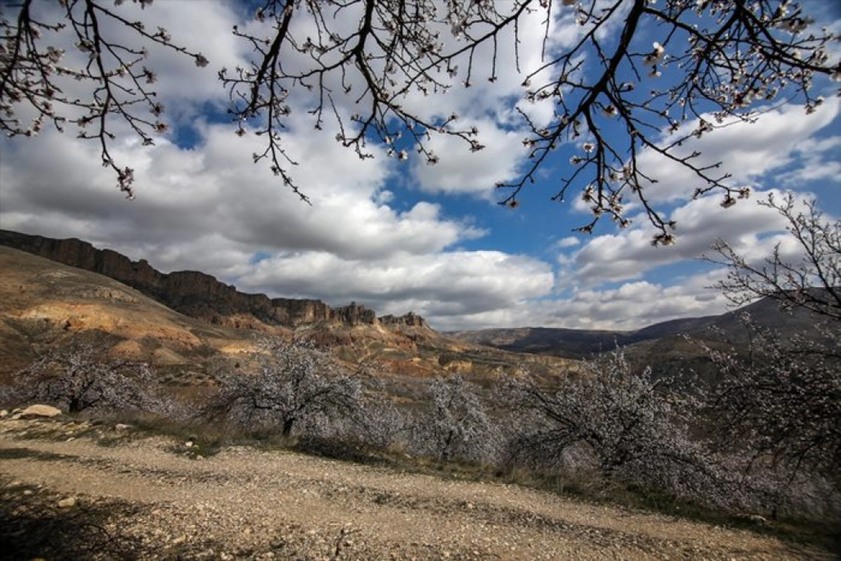 Malatya çiçek açtı