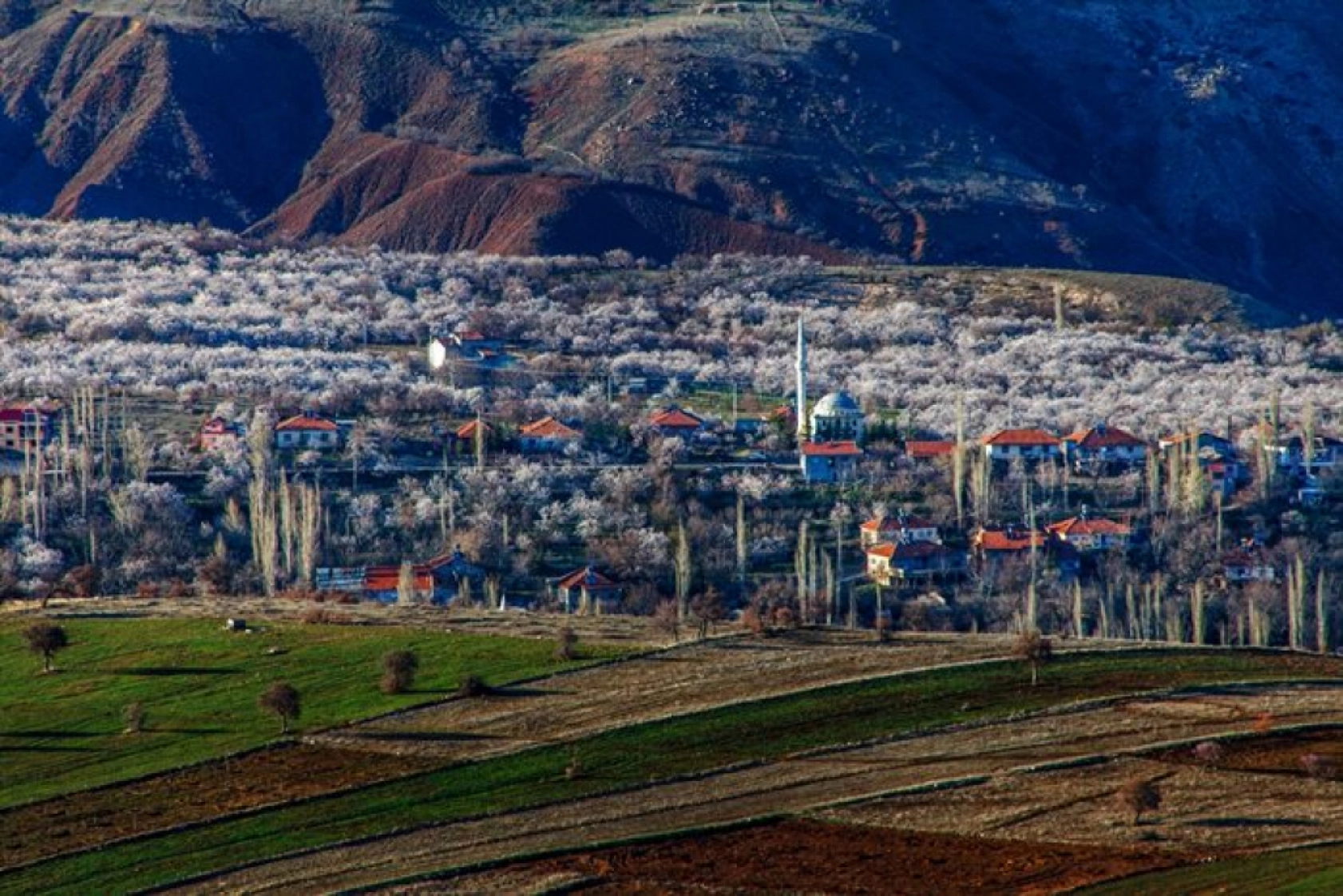 Malatya çiçek açtı