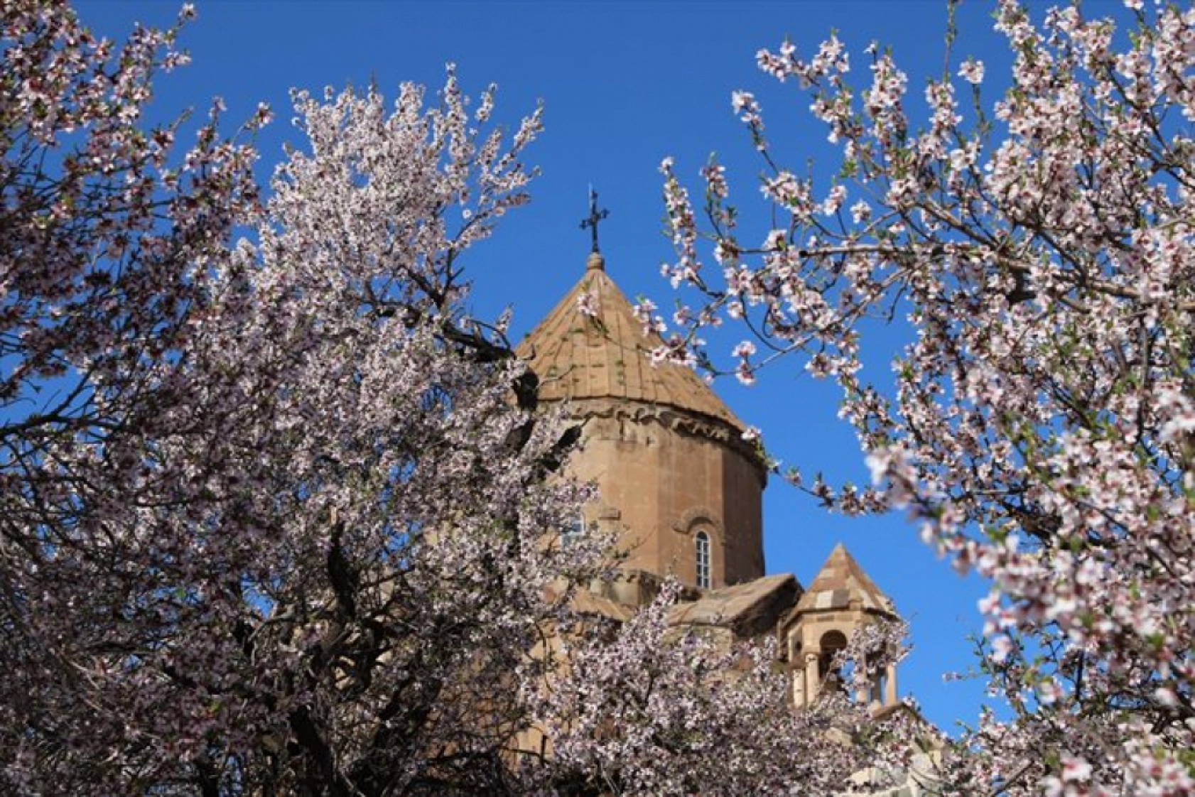 Çiçek açan badem ağaçları Akdamar Adası'nı renklendirdi