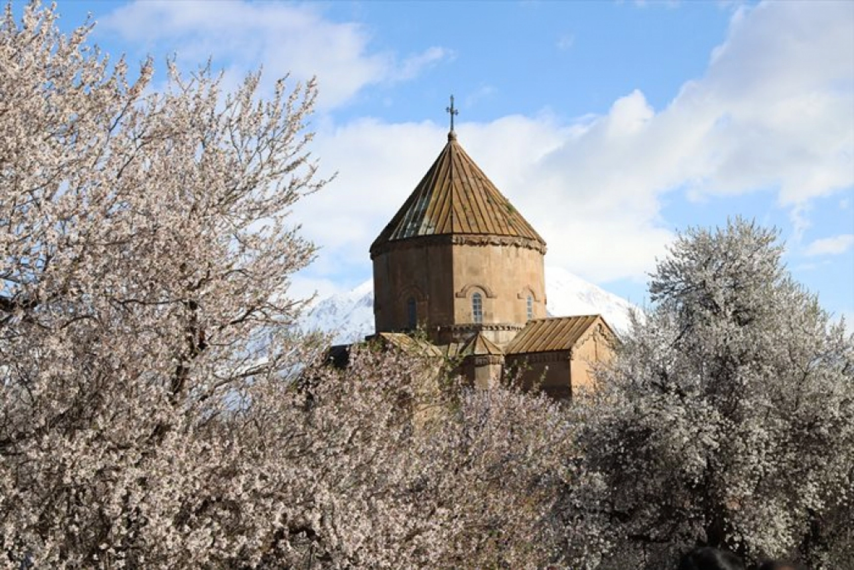 Çiçek açan badem ağaçları Akdamar Adası'nı renklendirdi