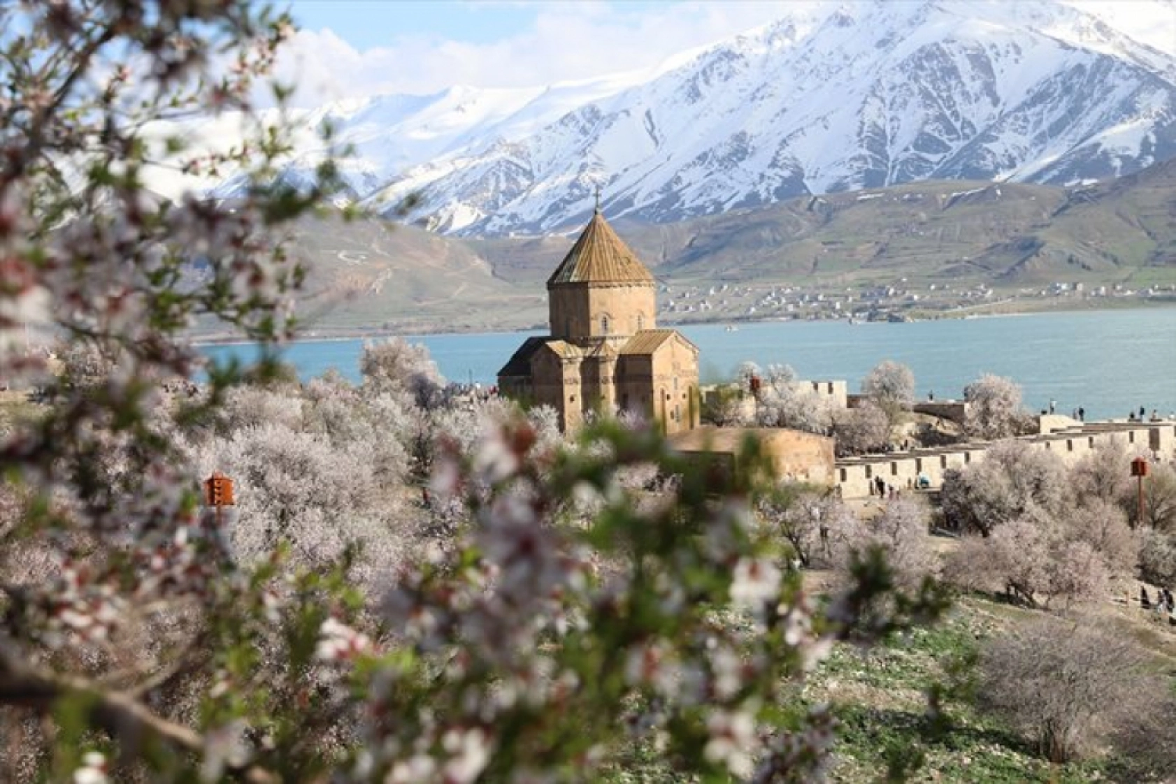 Çiçek açan badem ağaçları Akdamar Adası'nı renklendirdi