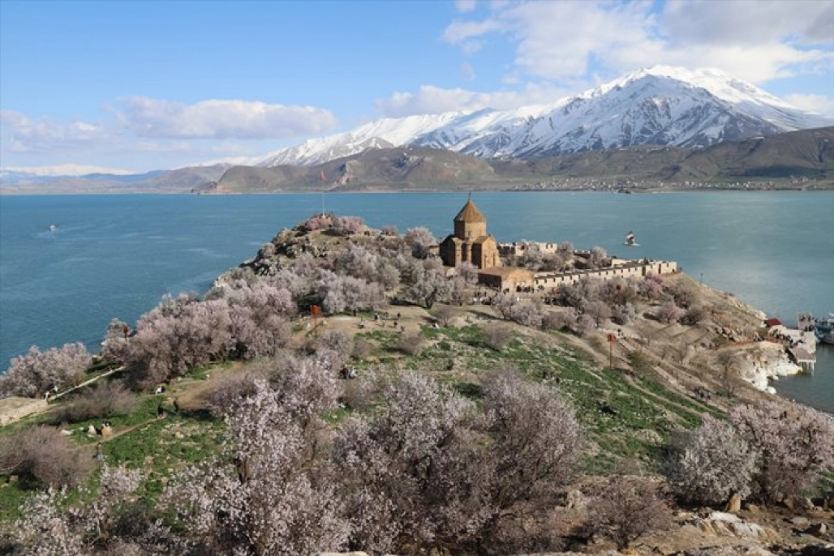 Çiçek açan badem ağaçları Akdamar Adası'nı renklendirdi