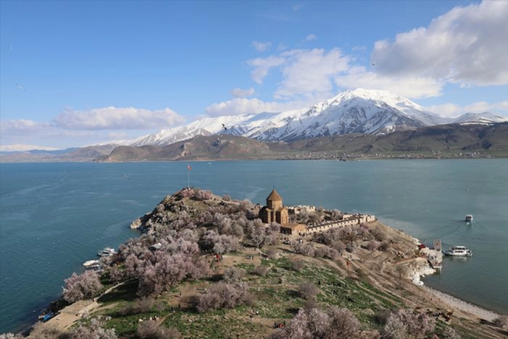 Çiçek açan badem ağaçları Akdamar Adası'nı renklendirdi