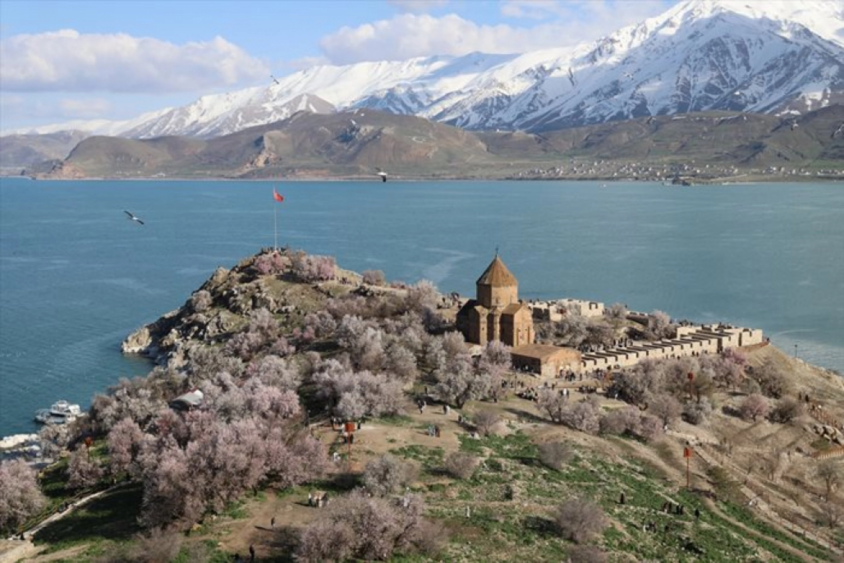 Çiçek açan badem ağaçları Akdamar Adası'nı renklendirdi
