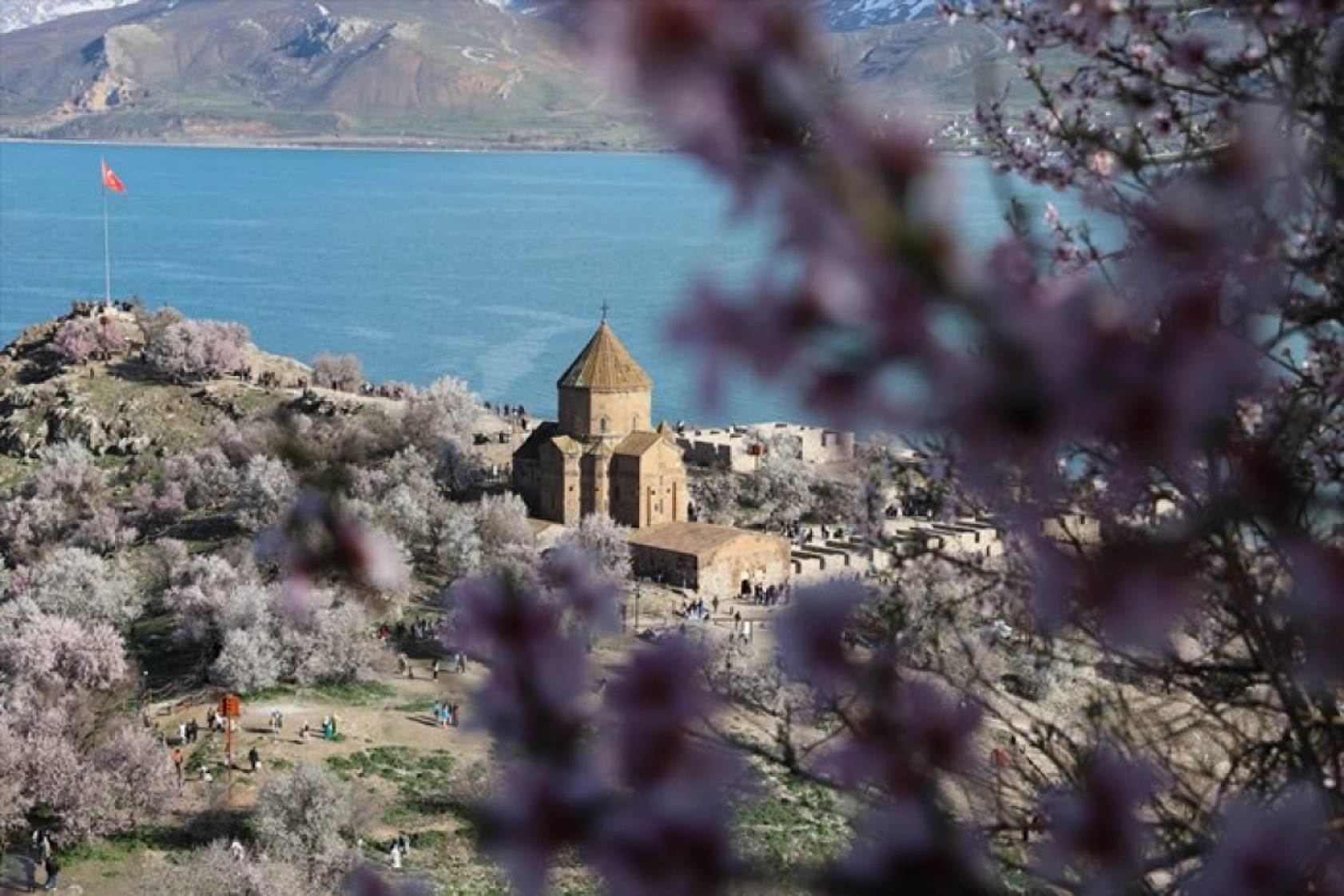 Çiçek açan badem ağaçları Akdamar Adası'nı renklendirdi