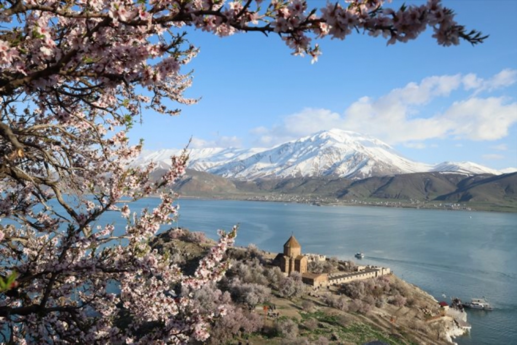 Çiçek açan badem ağaçları Akdamar Adası'nı renklendirdi
