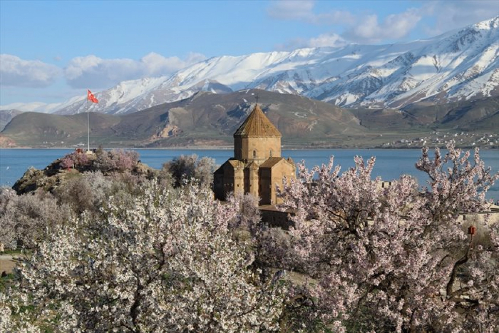 Çiçek açan badem ağaçları Akdamar Adası'nı renklendirdi